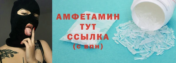 сатива Зеленокумск