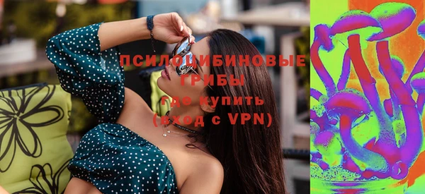 PSILOCYBIN Зерноград