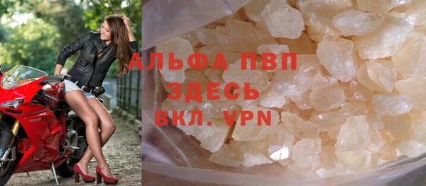 сатива Зеленокумск