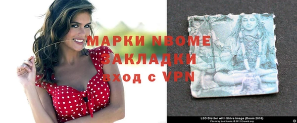 сатива Зеленокумск
