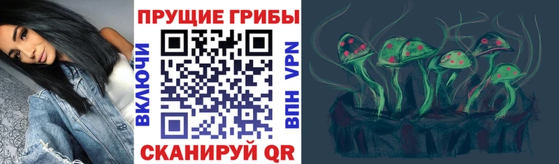 Псилоцибиновые грибы мухоморы  цены   Глазов 