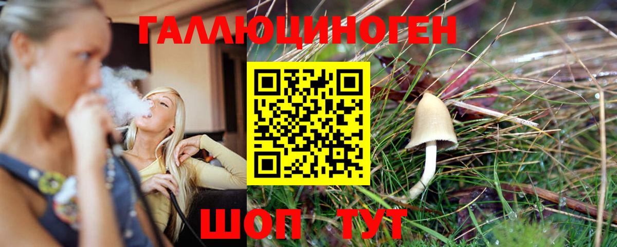 Псилоцибиновые грибы Psilocybine cubensis Глазов