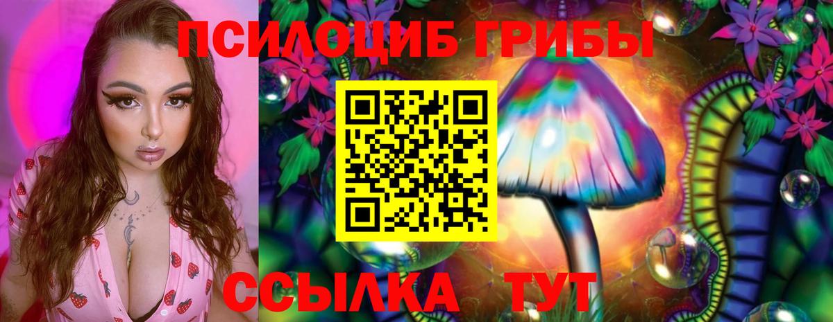 Галлюциногенные грибы прущие грибы  Вход с VPN  Глазов 